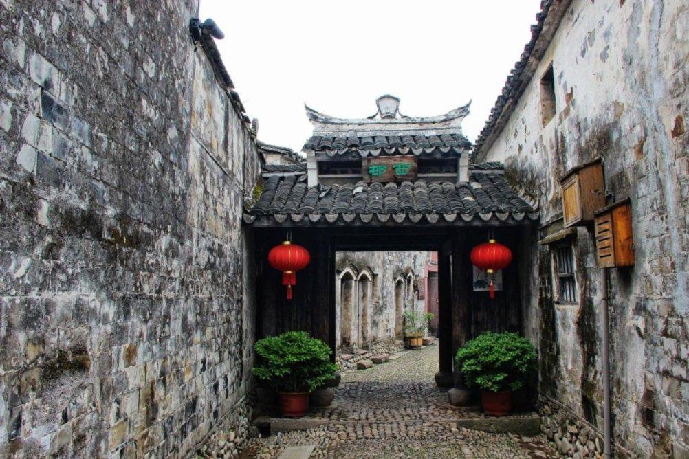 动物帮帮忙保卫家园